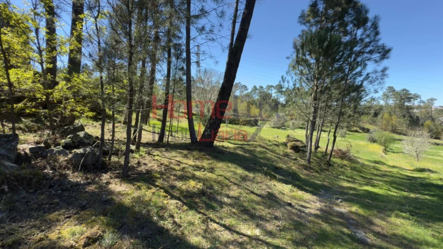 Terreno para Venda em São João de Lourosa Foto 20