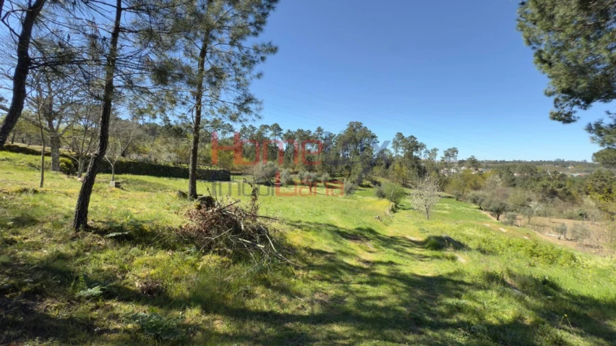 Terreno para Venda em São João de Lourosa Foto 23