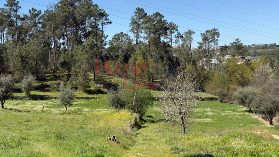 Terreno para Venda em São João de Lourosa Foto 24