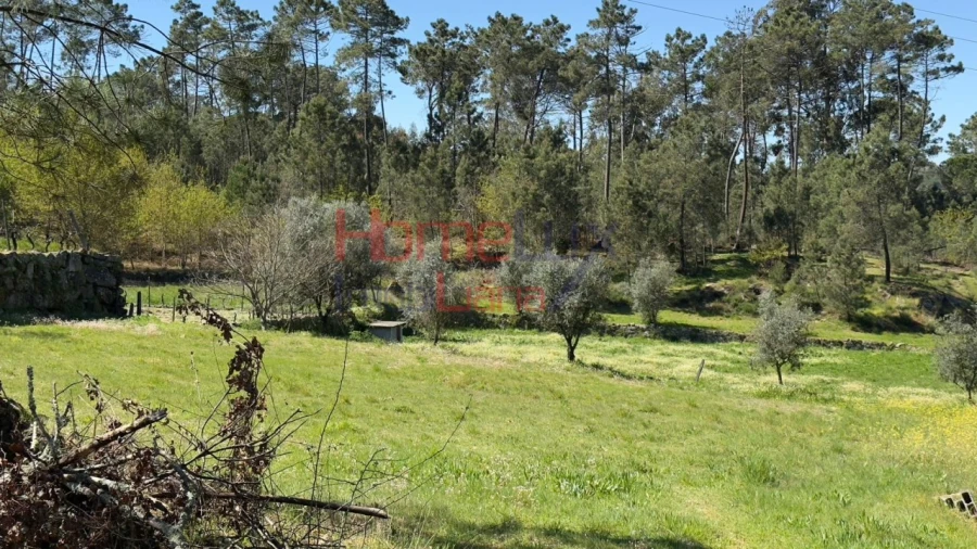 Terreno para Venda em São João de Lourosa Foto 26