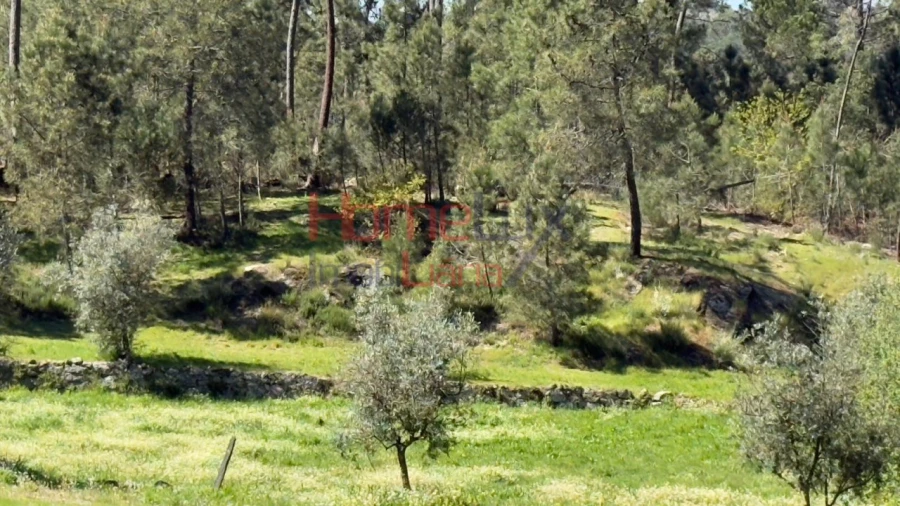 Terreno para Venda em São João de Lourosa Foto 28