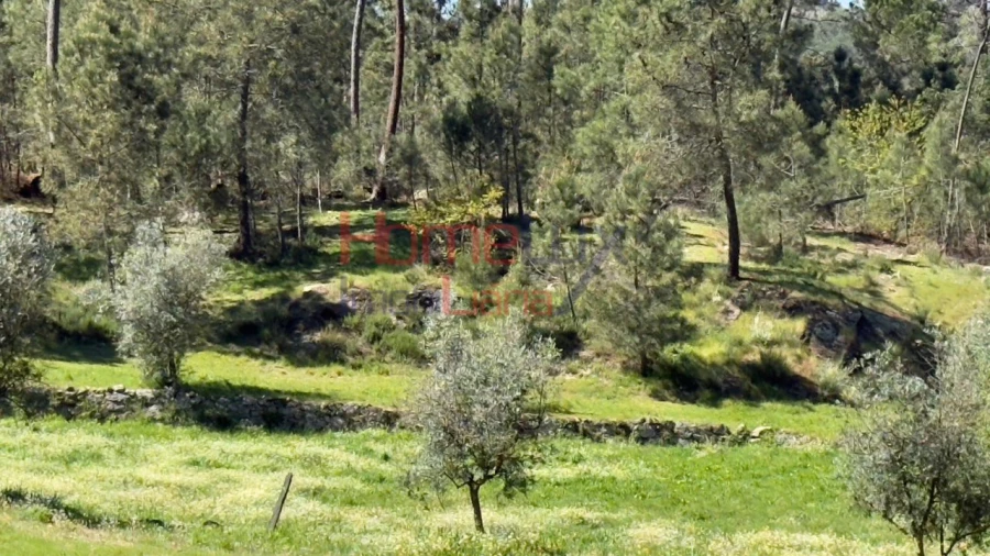 Terreno para Venda em São João de Lourosa Foto 29