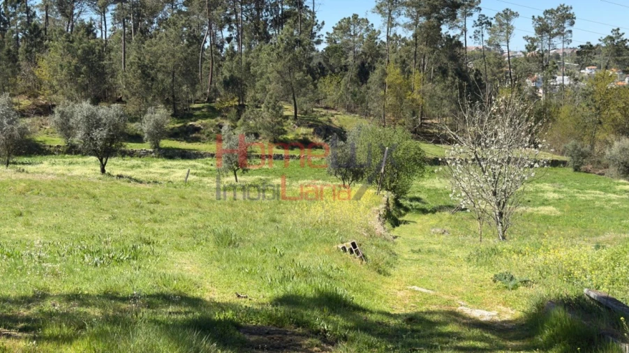 Terreno para Venda em São João de Lourosa Foto 31