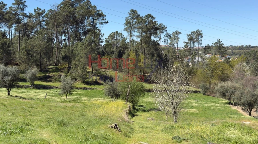 Terreno para Venda em São João de Lourosa Foto 33