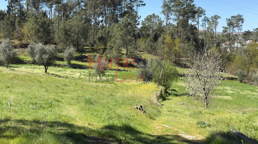 Terreno para Venda em São João de Lourosa Foto 34
