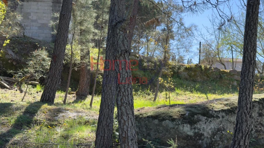 Terreno para Venda em São João de Lourosa Foto 35