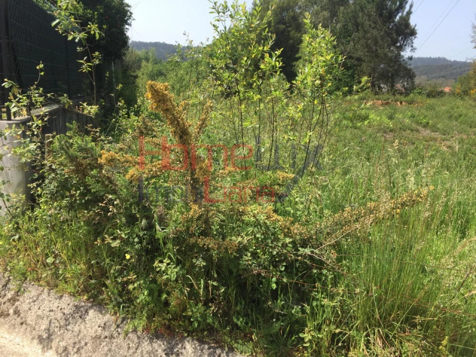 Terreno para Venda em O. Azeméis, Riba-Ul, Ul, Macinhata Seixa, Madail Foto 2
