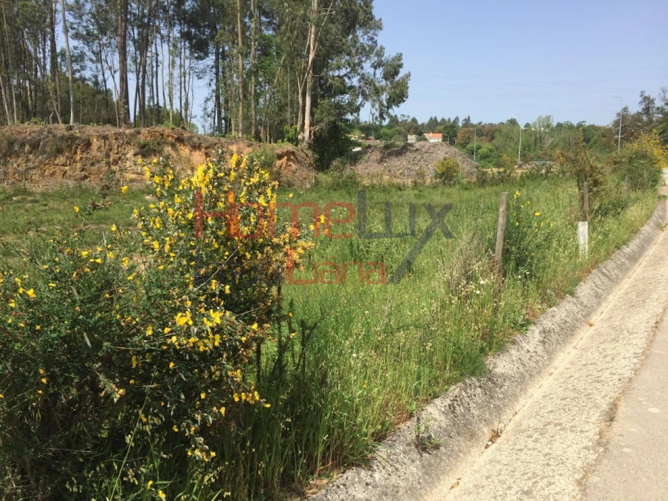 Terreno para Venda em O. Azeméis, Riba-Ul, Ul, Macinhata Seixa, Madail Foto 4