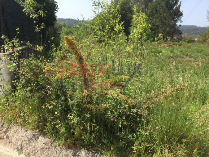 Terreno para Venda em O. Azeméis, Riba-Ul, Ul, Macinhata Seixa, Madail Foto 2
