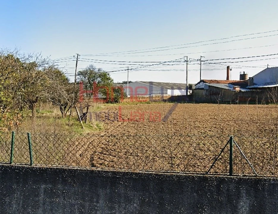Terreno para Venda em Oliveira do Bairro Foto 16