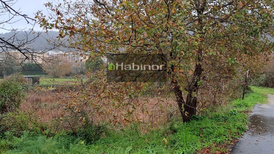 Terreno para Venda em Santa Maria Maior e Monserrate e Meadela