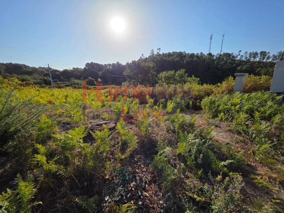 Terreno para Venda em Castro Daire Foto 1