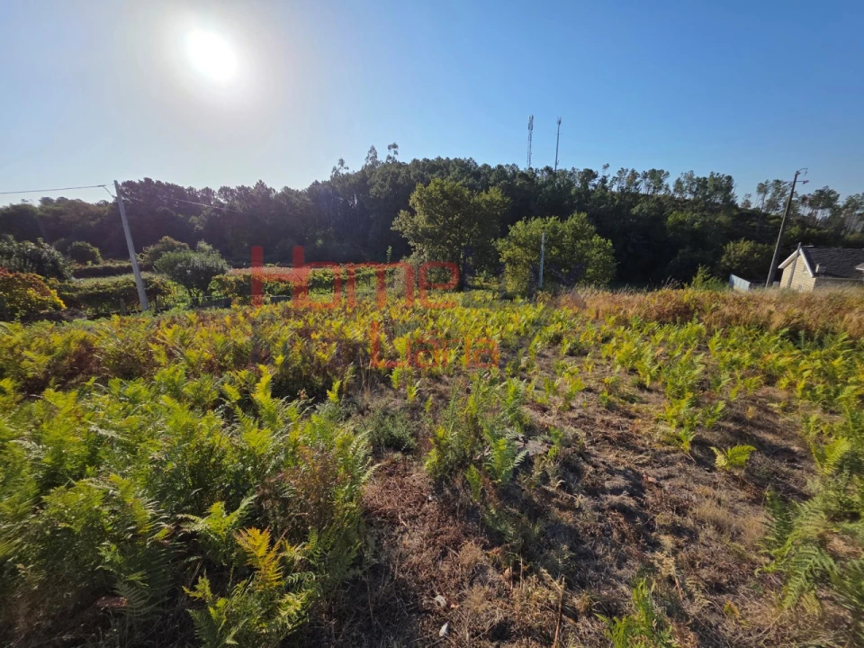 Terreno para Venda em Castro Daire Foto 2