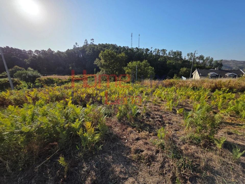 Terreno para Venda em Castro Daire Foto 3