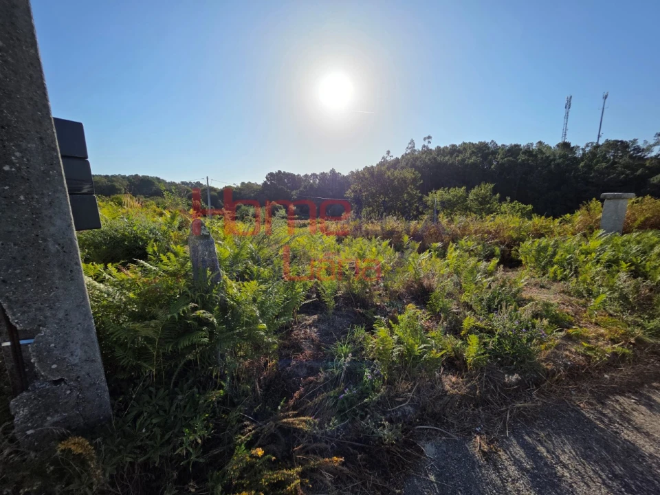 Terreno para Venda em Castro Daire Foto 4