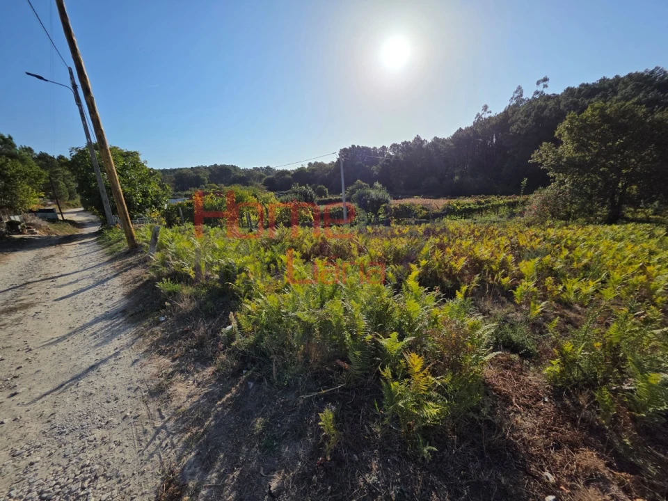 Terreno para Venda em Castro Daire Foto 5