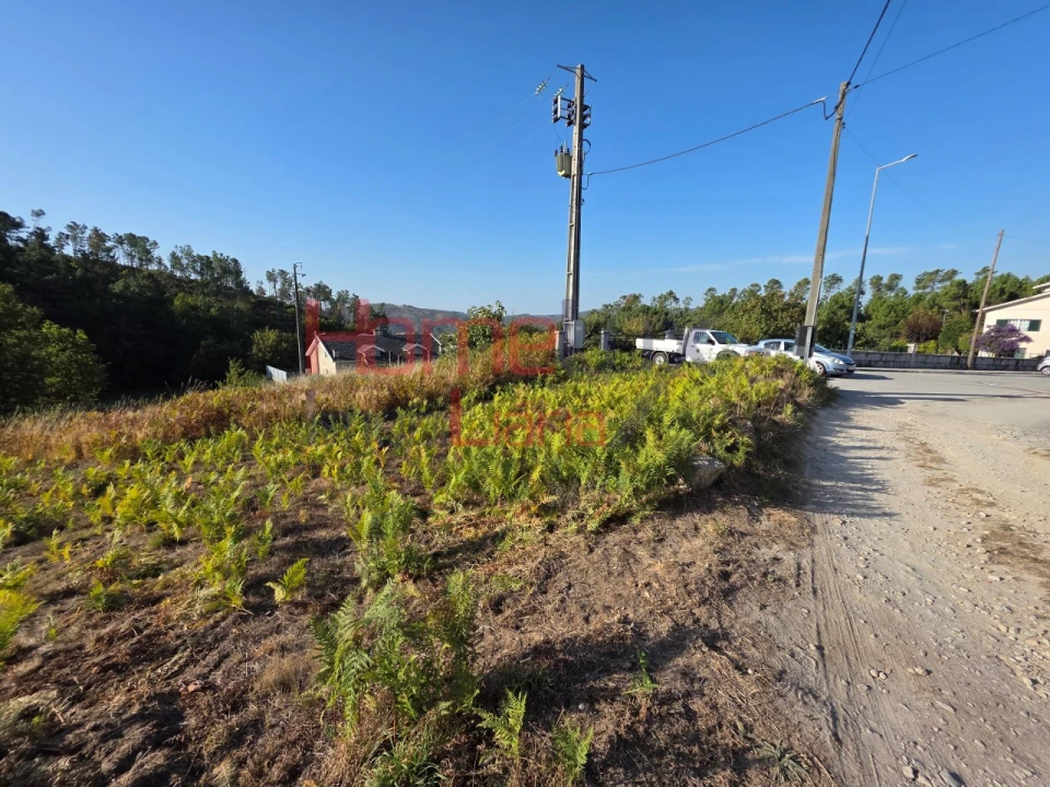 Terreno para Venda em Castro Daire Foto 10