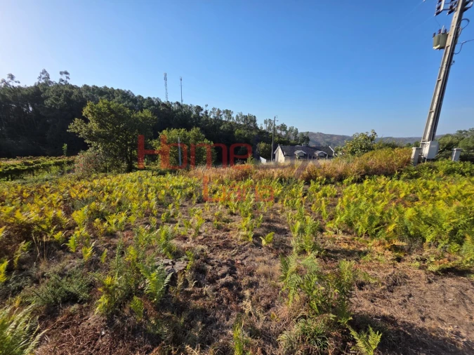 Terreno para Venda em Castro Daire Foto 7