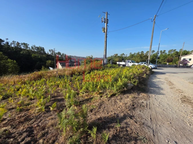 Terreno para Venda em Castro Daire Foto 10