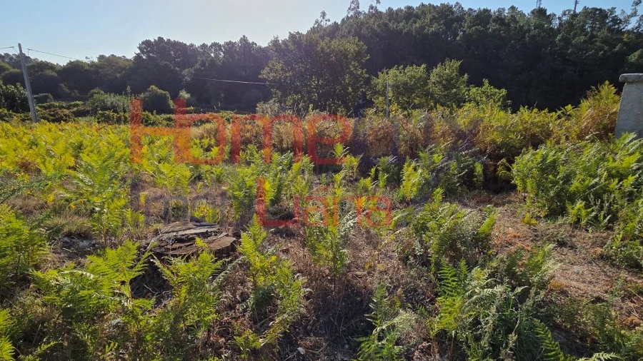 Terreno para Venda em Castro Daire
