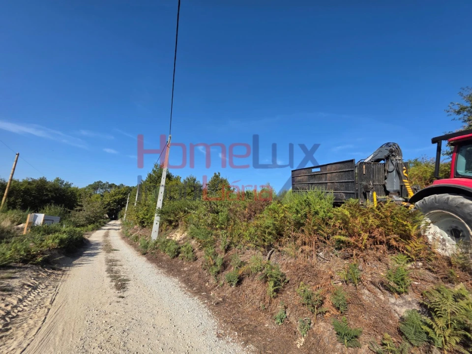 Terreno para Venda em Castro Daire Foto 1