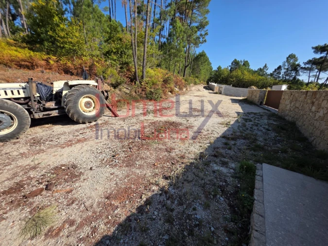 Terreno para Venda em Castro Daire Foto 3