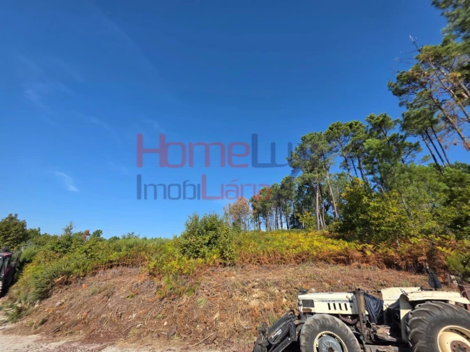 Terreno para Venda em Castro Daire Foto 4