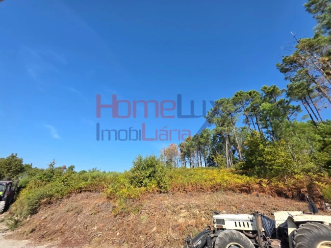 Terreno para Venda em Castro Daire Foto 7