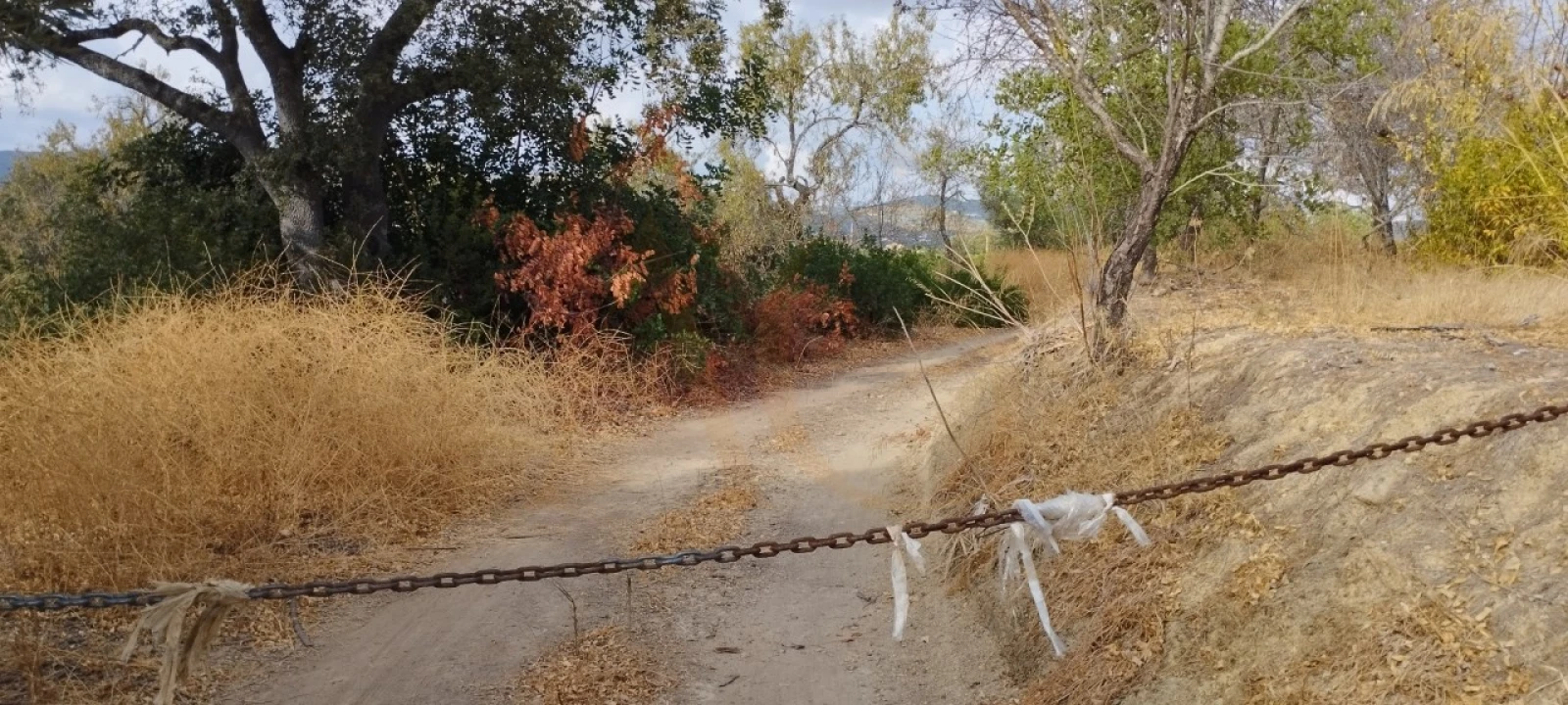 Terreno para Venda em Conceição e Estoi Foto 4