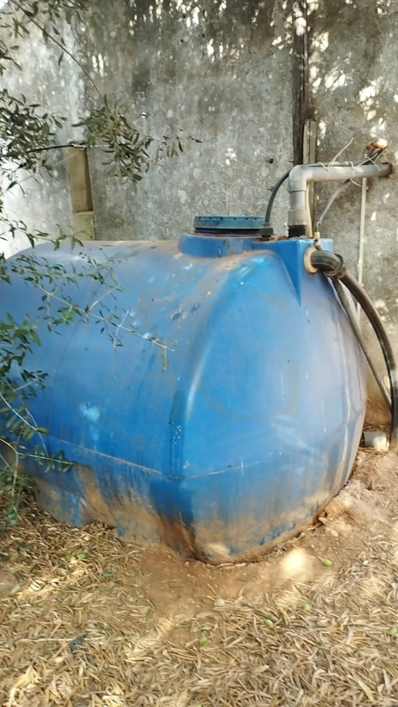 Terreno para Venda em Conceição e Estoi Foto 7
