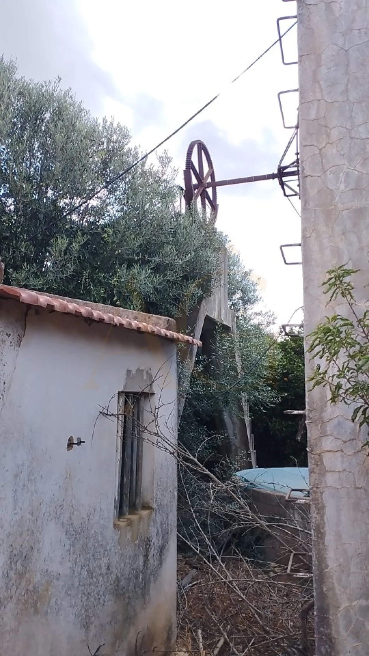 Terreno para Venda em Conceição e Estoi Foto 11