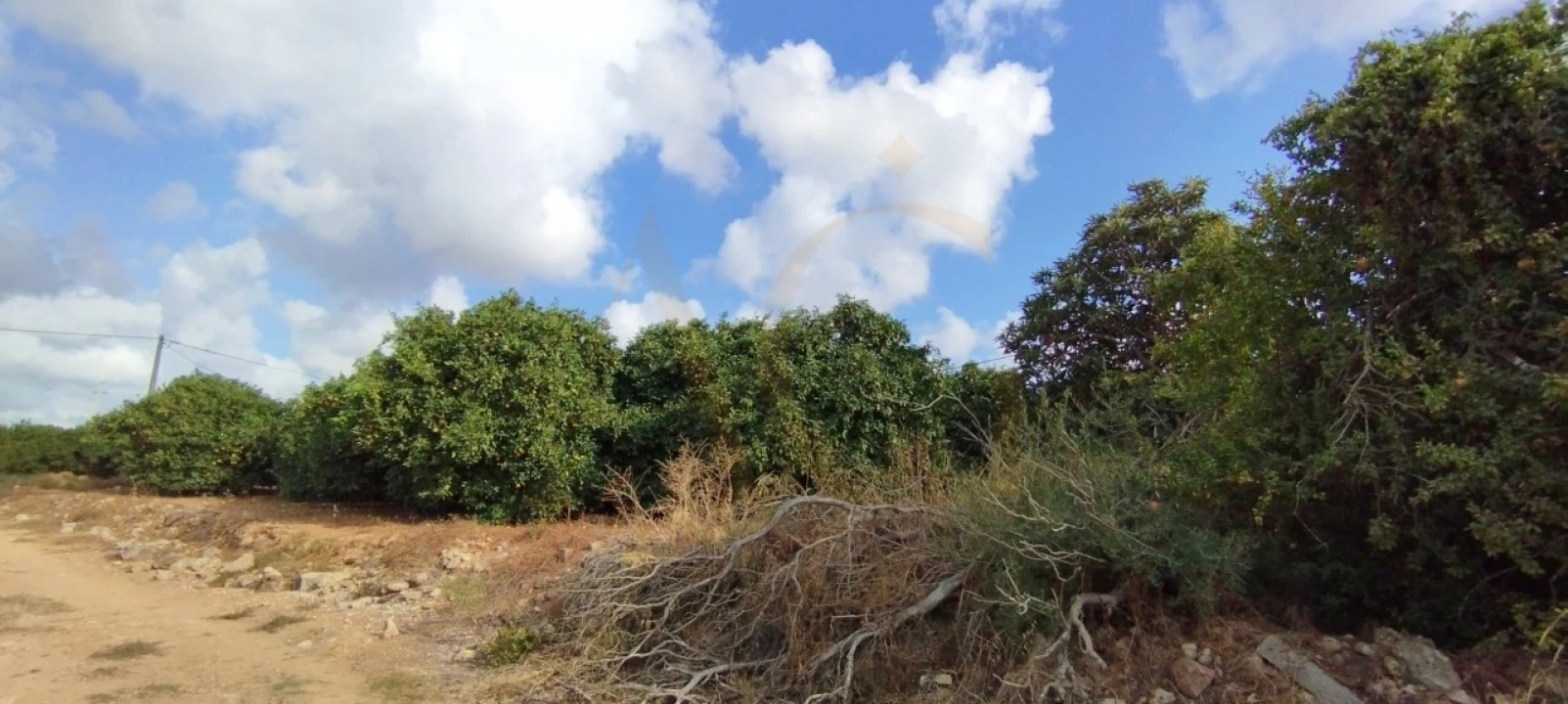 Terreno para Venda em Conceição e Estoi Foto 6