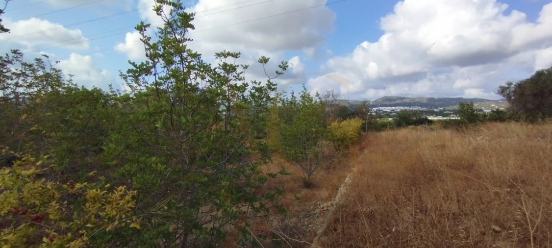 Terreno para Venda em Conceição e Estoi Foto 3