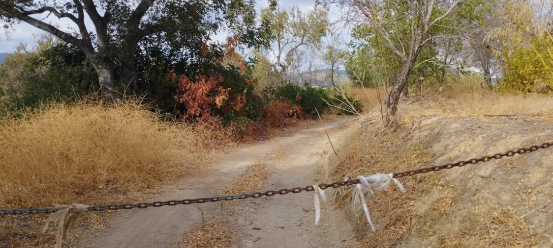 Terreno para Venda em Conceição e Estoi Foto 4