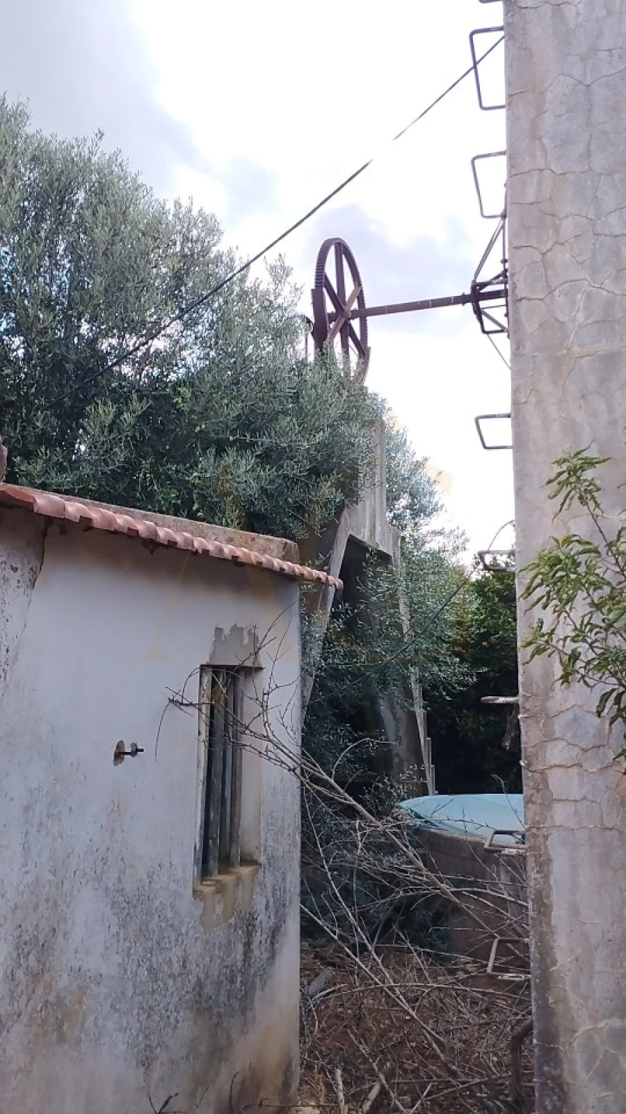 Terreno para Venda em Conceição e Estoi Foto 11
