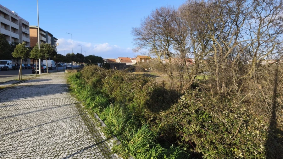Terreno para Venda em Aver-O-Mar, Amorim e Terroso Foto 5