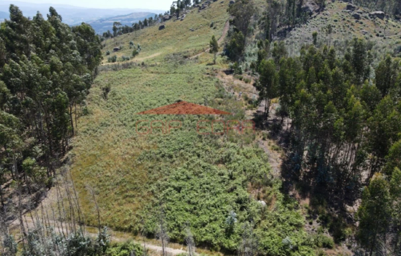 Terreno para Venda em Abragão Foto 3