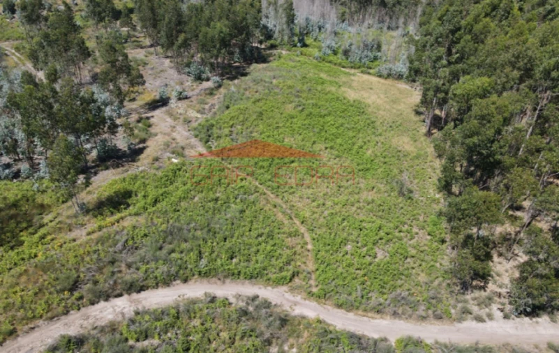 Terreno para Venda em Abragão Foto 6