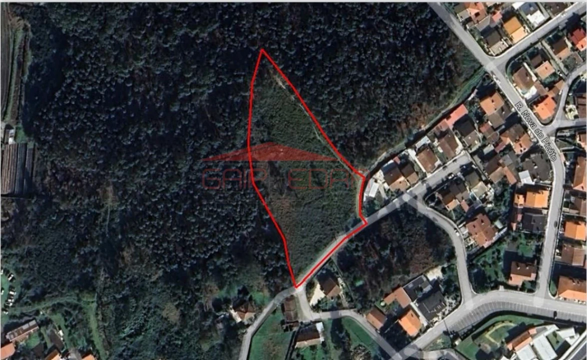 Terreno para Venda em Cesar Foto 2