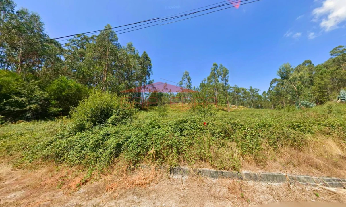 Terreno para Venda em Cesar Foto 5