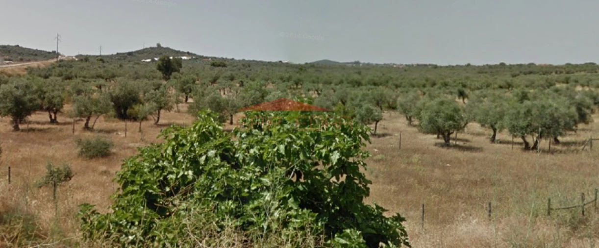 Terreno para Venda em Nossa Senhora da Conceição e São Bartolomeu Foto 3