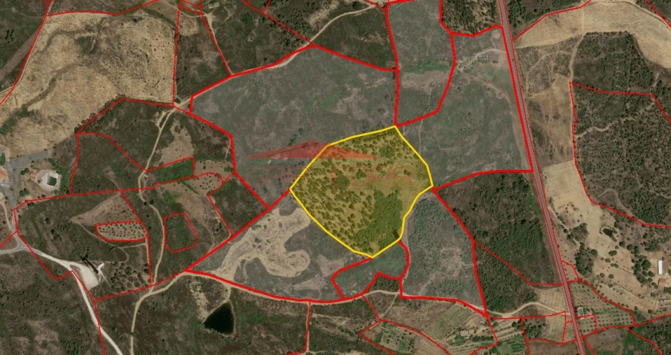 Terreno para Venda em Cebolais de Cima e Retaxo Foto 3