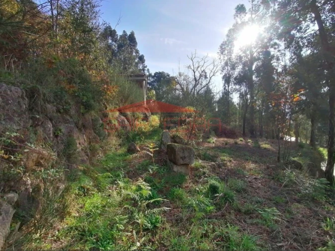 Terreno para Venda em Penhalonga e Paços de Gaiolo Foto 4