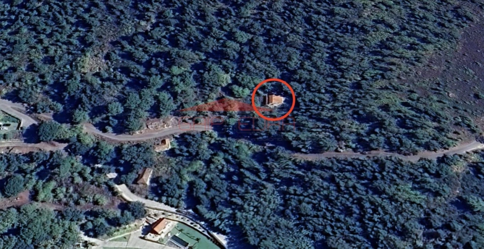 Terreno para Venda em Penhalonga e Paços de Gaiolo Foto 7