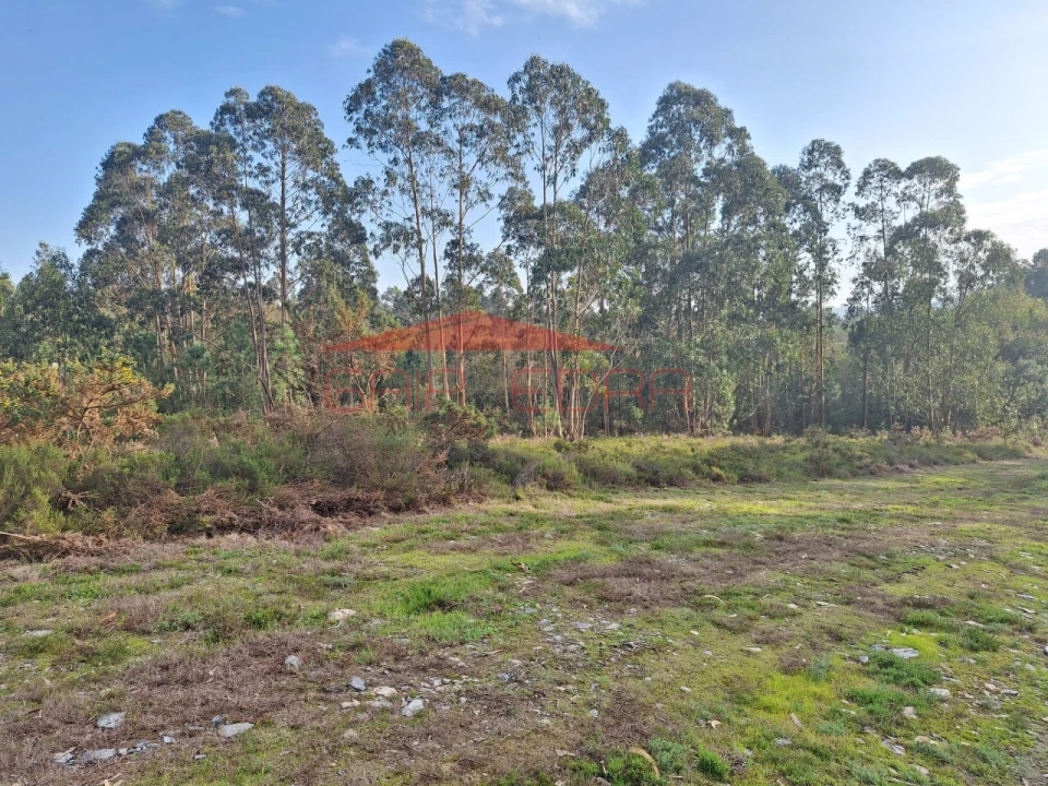 Terreno para Venda em Valongo Foto 6