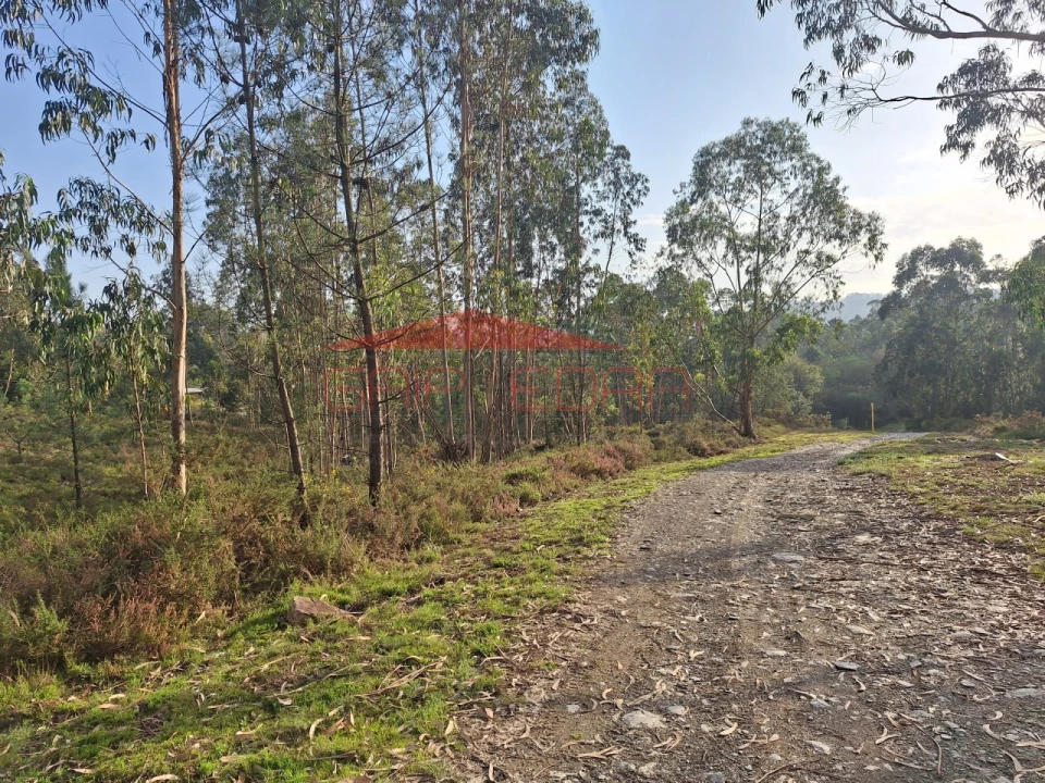 Terreno para Venda em Valongo Foto 7