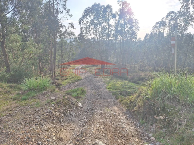 Terreno para Venda em Valongo Foto 4