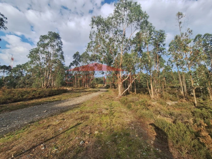 Terreno para Venda em Valongo