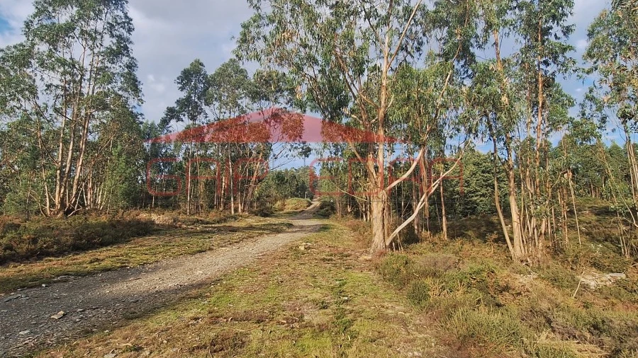 Terreno para Venda em Valongo