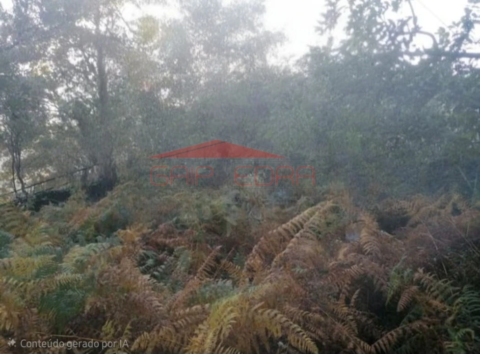 Terreno para Venda em Azias Foto 9